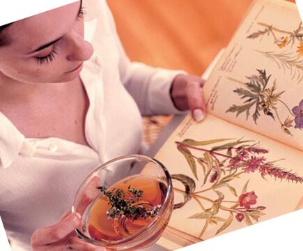 Recettes de parasites des gens